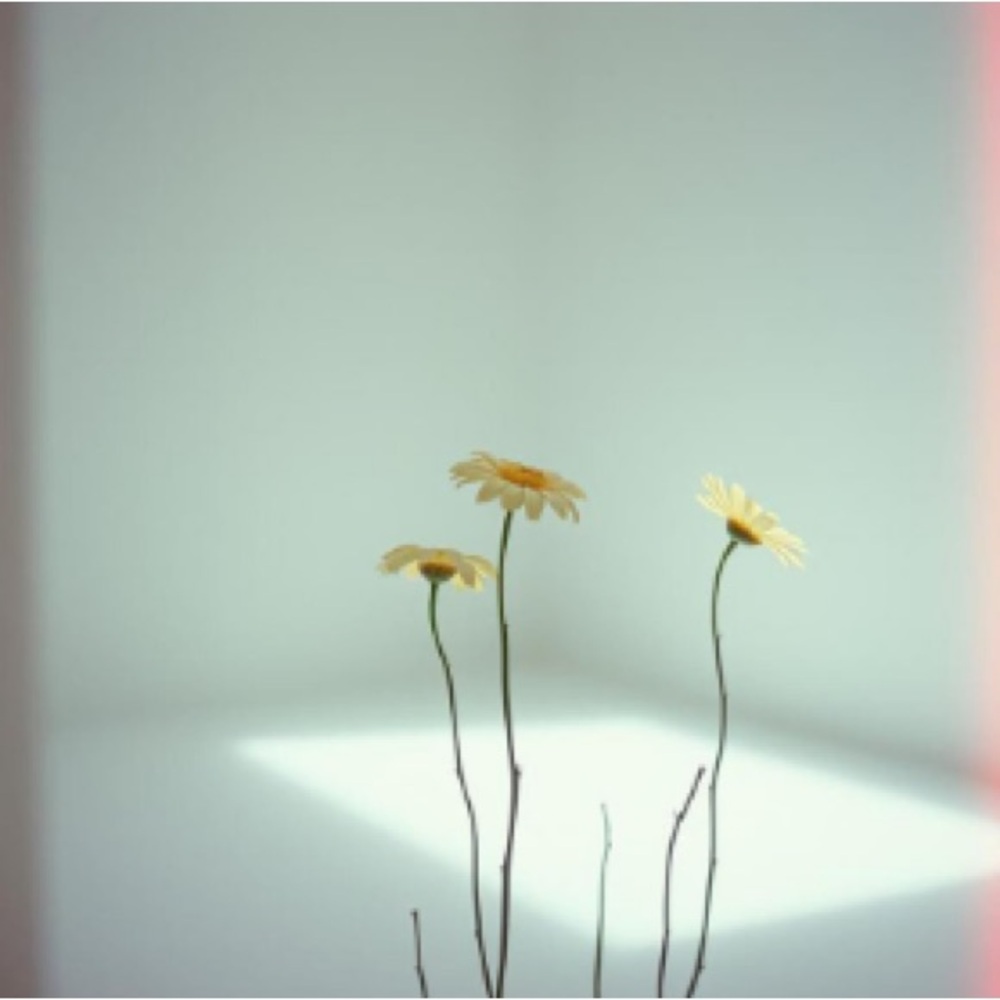 Meet your Posher, Sawer